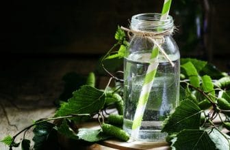 Pour votre santé, pensez à la sève de bouleau !